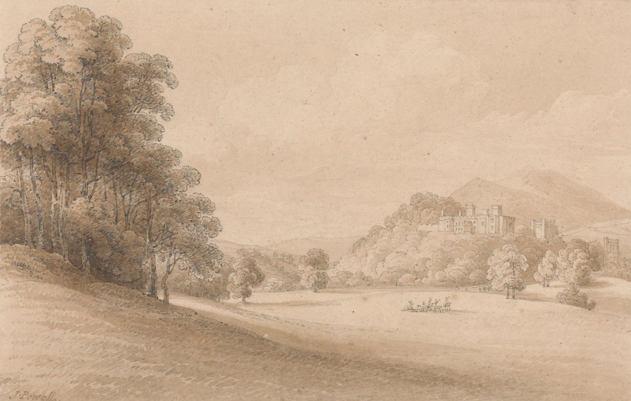 Dunster Castle, Somerset: Zobrazení hradu v dálce od Joseph Powell