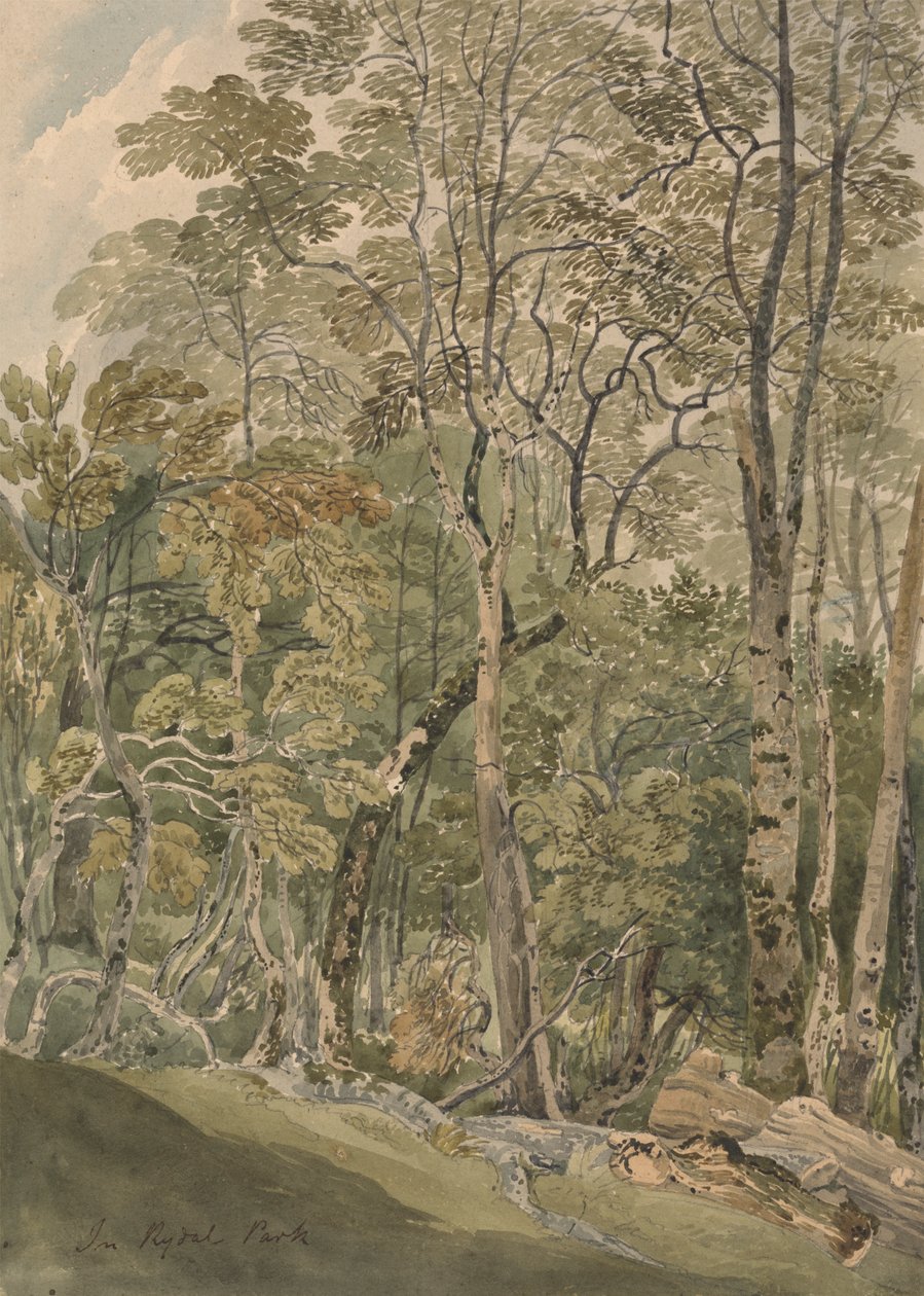 V Rydal Parku od Joseph Powell