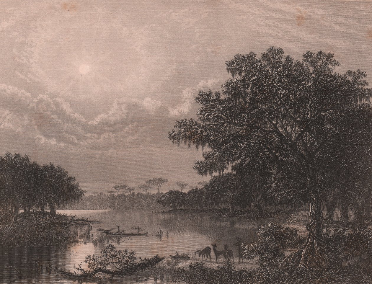 Louisiana Bayou, Spojené státy americké, ocelorytina Roberta Hinshelwooda (1812-po 1875) podle malby Josepha Ruslinga Meekera (1827-1889), cca 16x18 cm od Joseph Rusling Meeker
