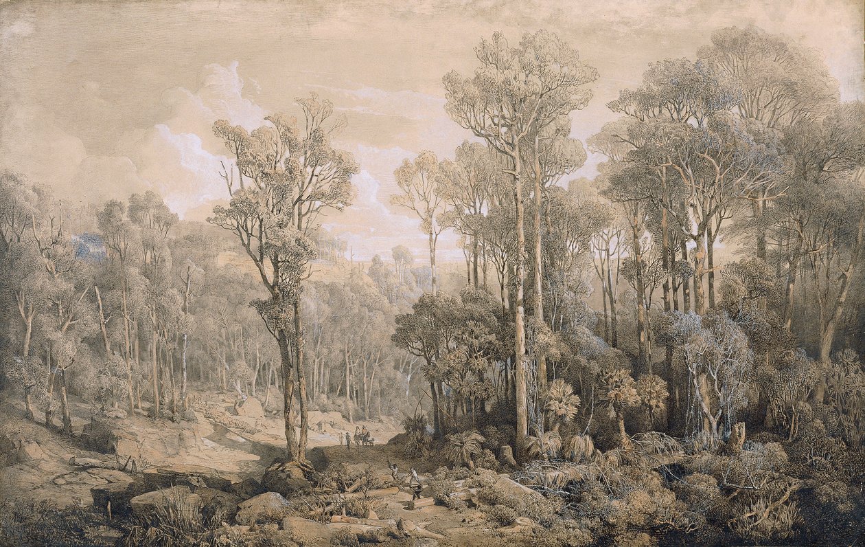 Australský les od Joseph Selleny