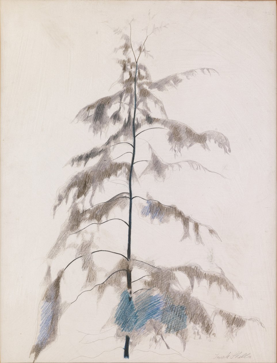 Pine Tree od Joseph Stella
