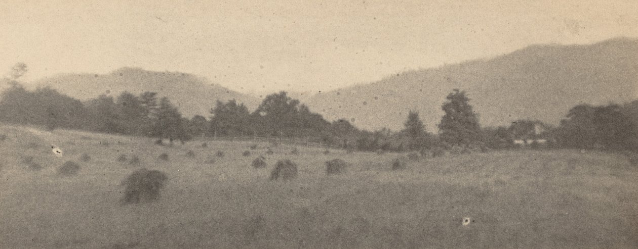 Krajina se stromy a horami,c. 1900 (foto) od Joseph T. Keiley
