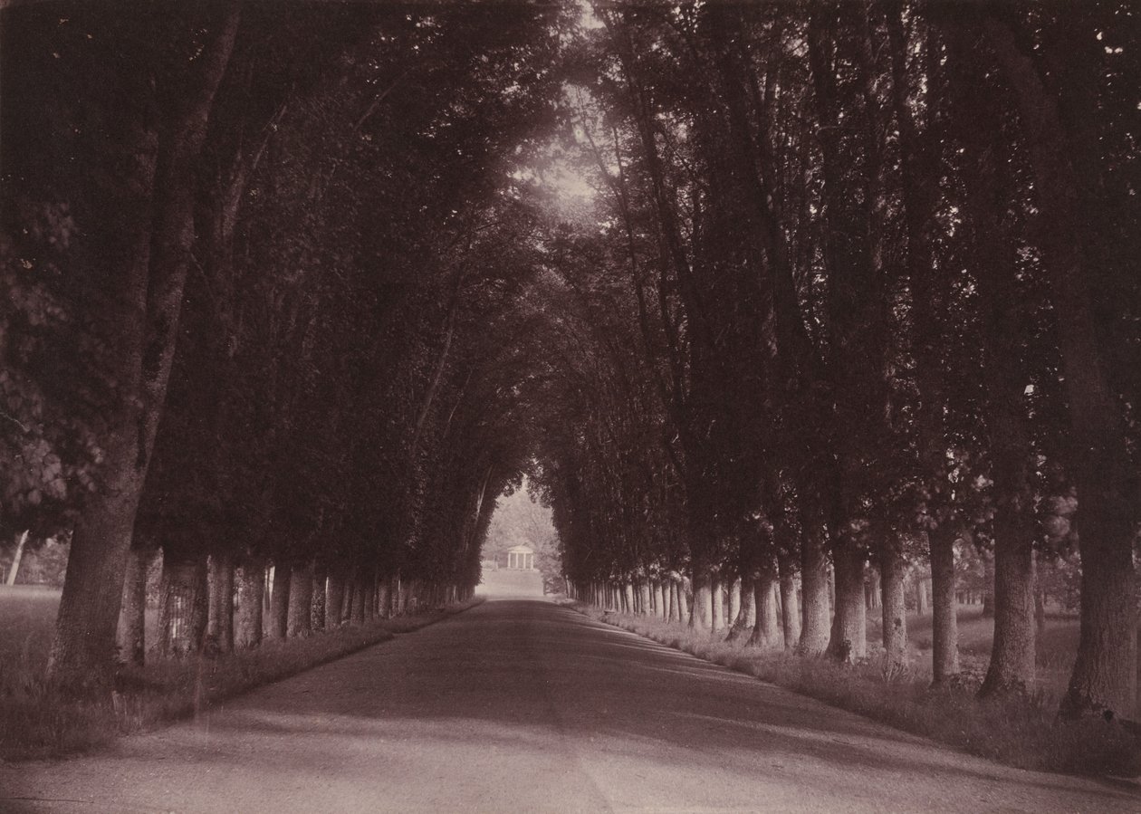 Příjezdová cesta, Château de Grand-Vaux, Savigny-sur-Orge, rodinné sídlo Vigierů, asi 1855 (foto) od Joseph Vigier