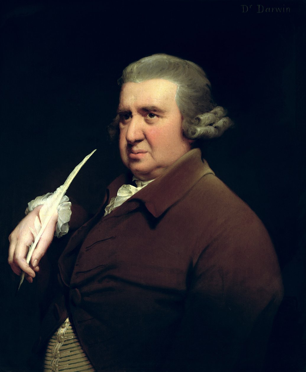 Portrét Dr. Erasma Darwina (1731-1802), vědce, vynálezce a básníka, dědečka Charlese Darwina od Joseph Wright of Derby