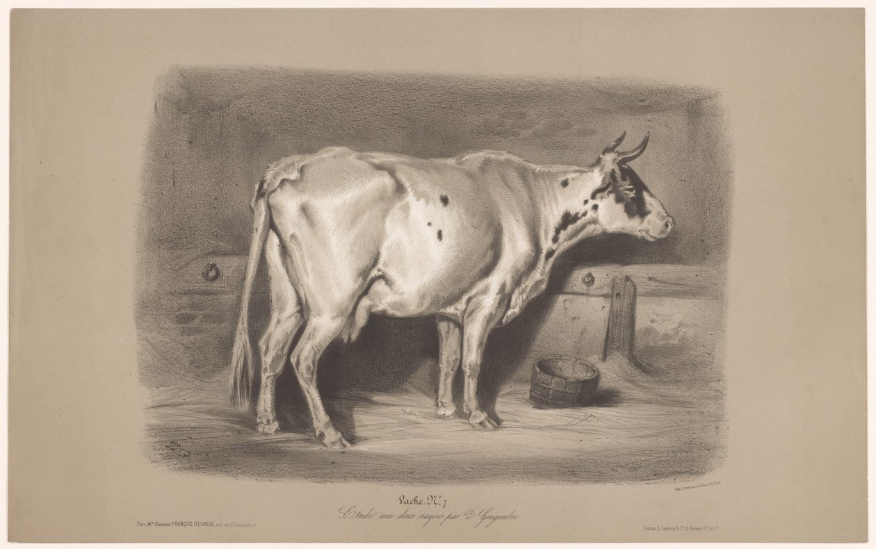 Kráva ve stáji Vache (název na objektu) Studie na zvířatech ve dvou typech křídy (název série) Etude aux deux pastelky par Z. Gengembre (název série na předmětu) od Joseph Zephyris Gengembre