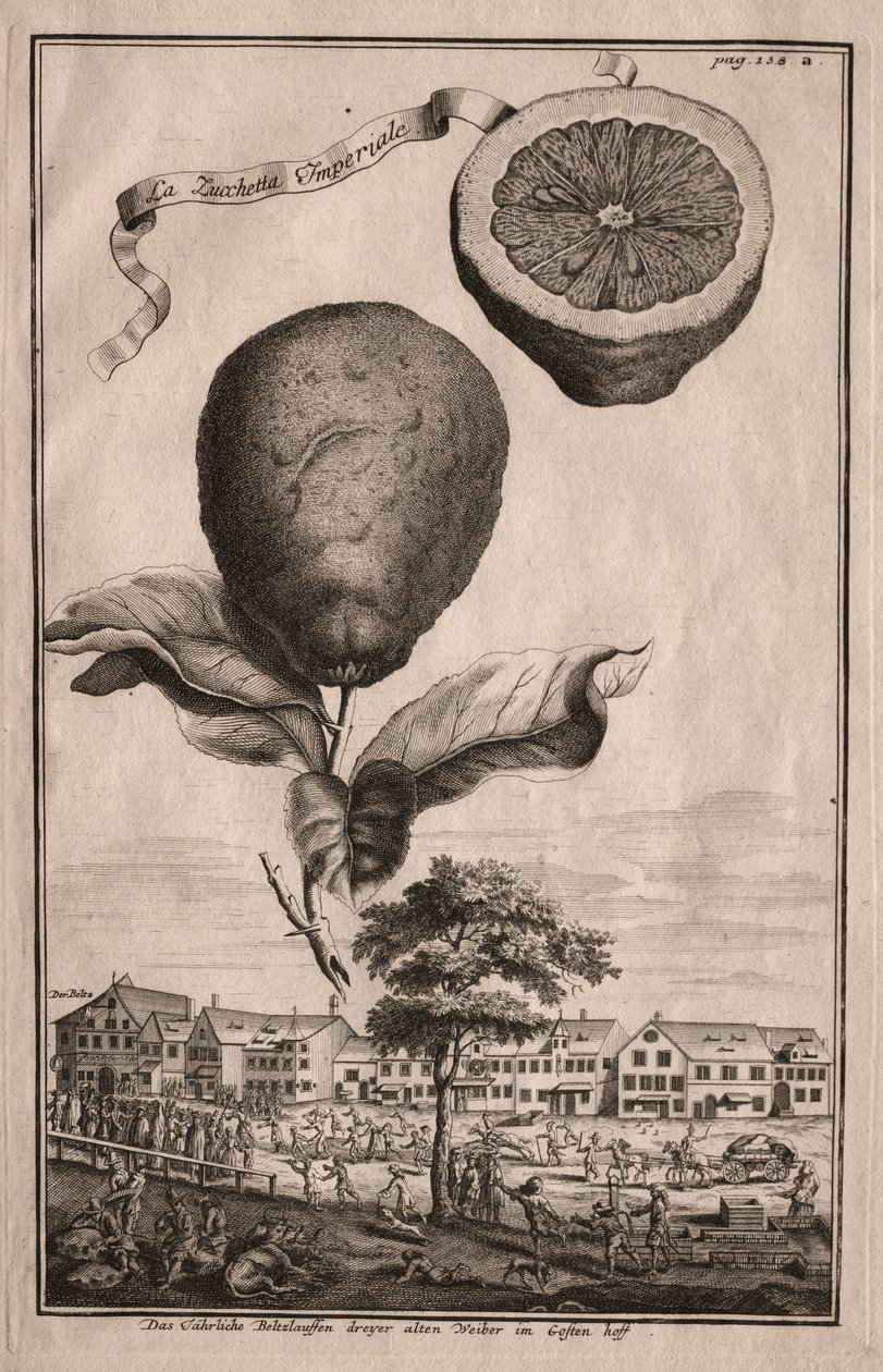 Nurnbergische Hesperides: Luchetta Imperiale od Joseph de Montalegre