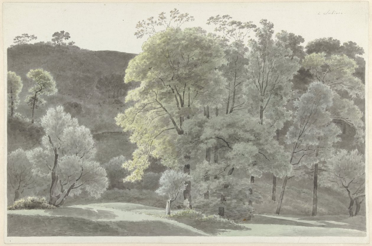 Stromy kolem Subiaco od Josephus Augustus Knip