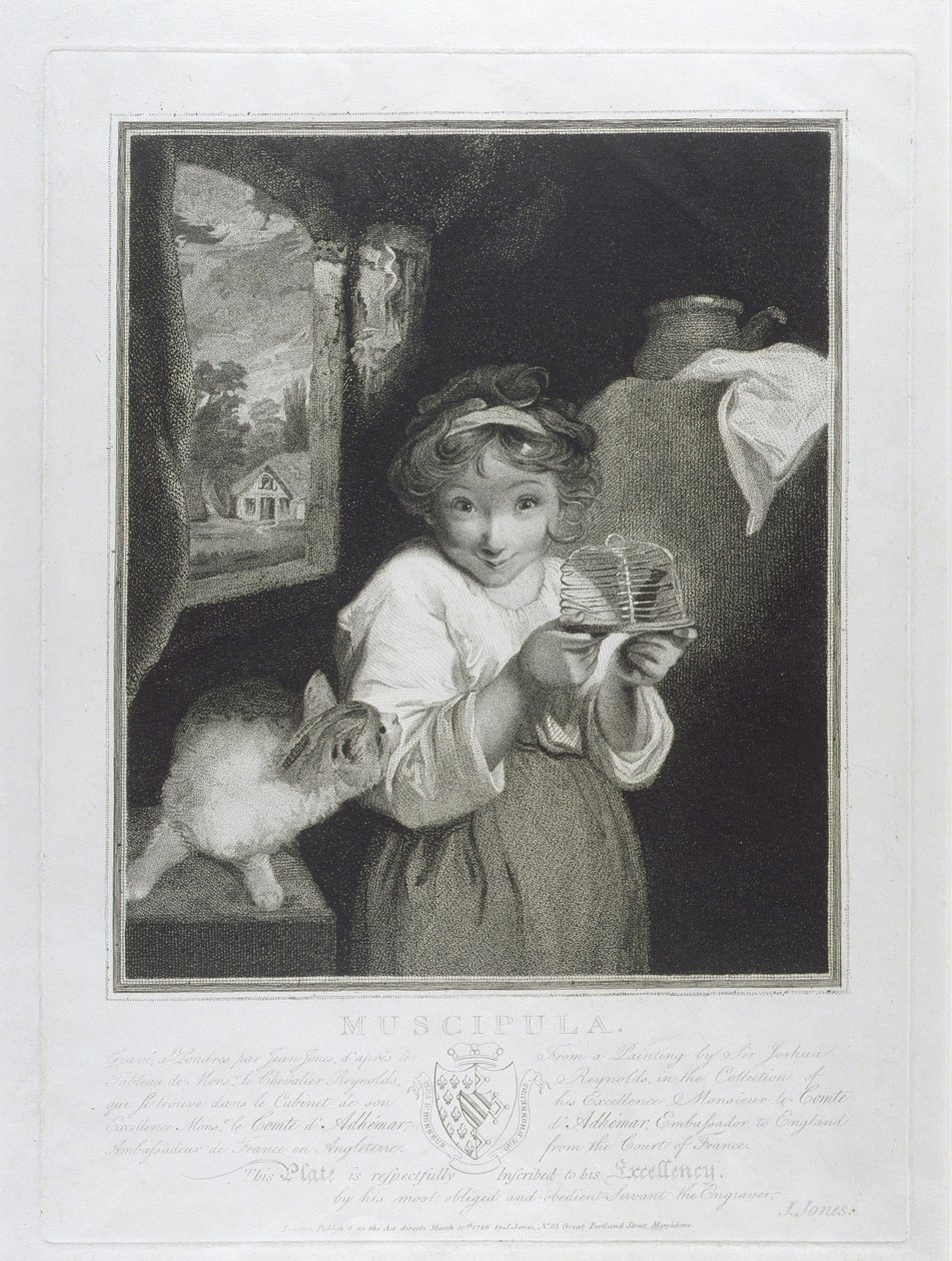 Muscipula, vyryl John Jones (c.1745-97) 1786 od Joshua Reynolds