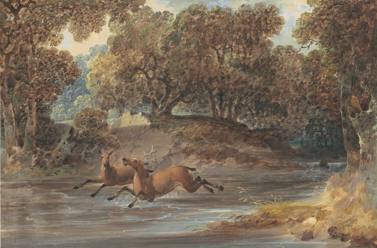 Krajina s jelenem, Severní Karolína, cca 1820 (wc a kvaš přes grafit na papíře) od Joshua H. Shaw