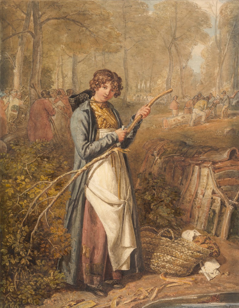 Barking Timber ve Wychwood Forest, Oxfordshire, 1818. od Joshua Cristall