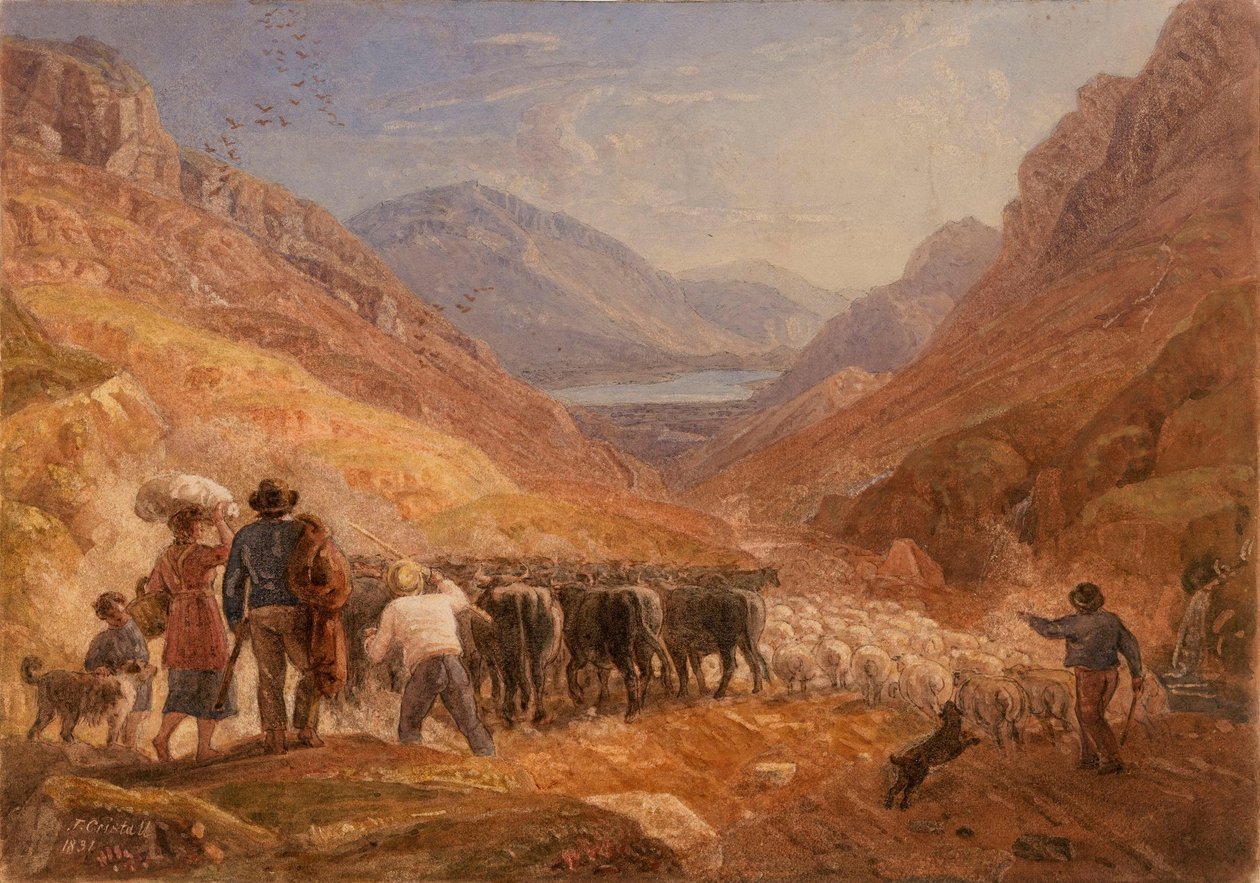 Pastevci ženoucí skot a ovce průsmykem Tal-y-Llyn ve Walesu od Joshua Cristall