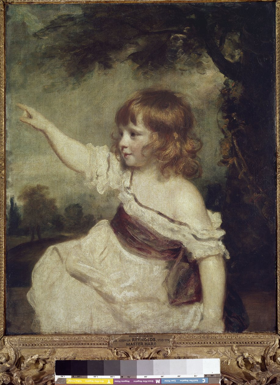 Mistr zajíc (Francis George Hare (olej na plátně od Joshua Reynolds