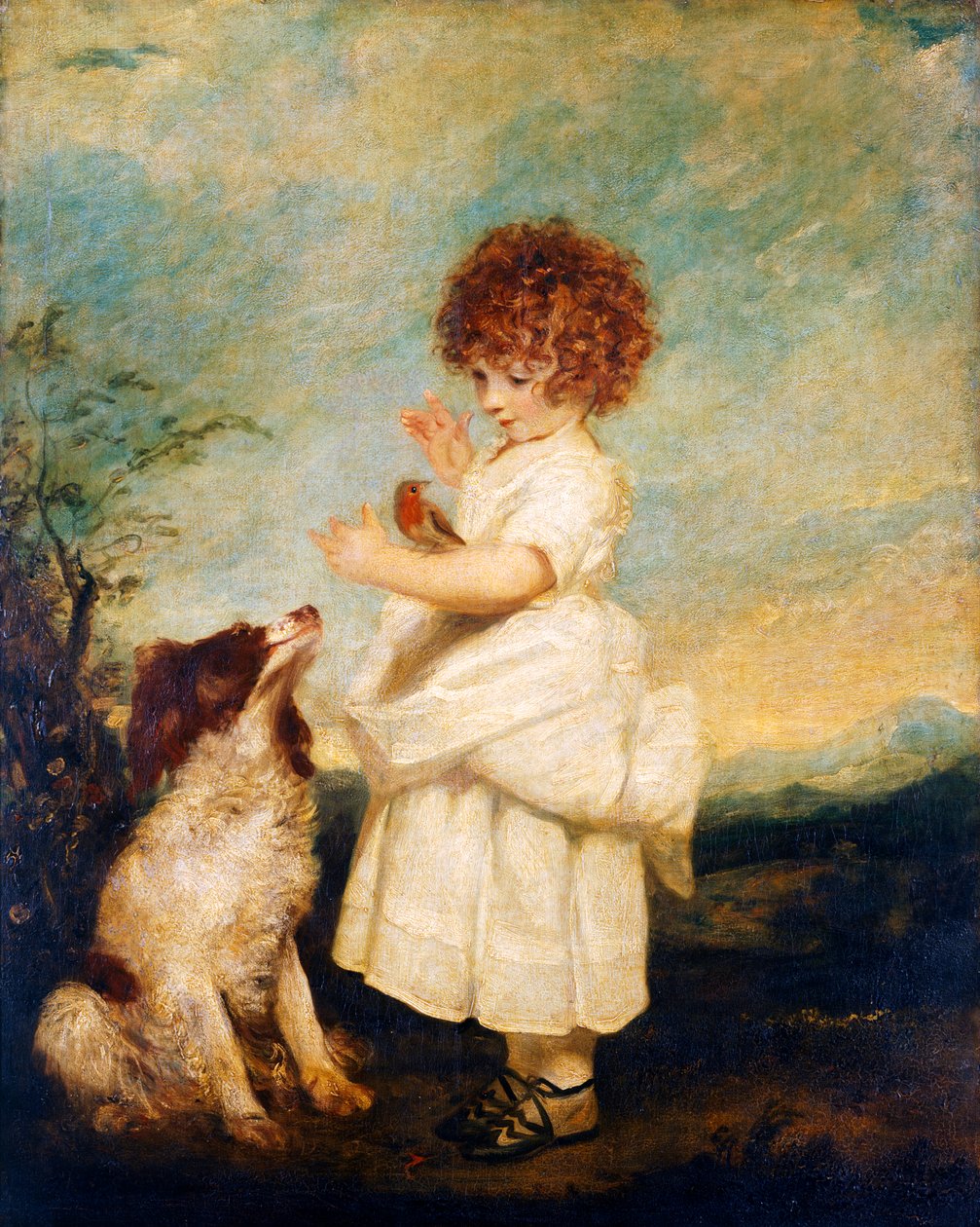 Mistr Philip Yorke, později vikomt Royston od Joshua Reynolds