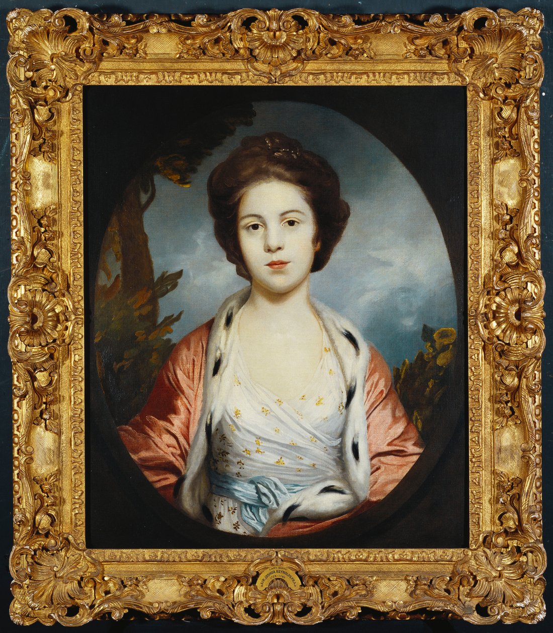 Portrét Esther, Lady Wray, na sobě bílé šaty, zlatý a růžový plášť lemovaný hermelínem, krajina za nimi od Joshua Reynolds