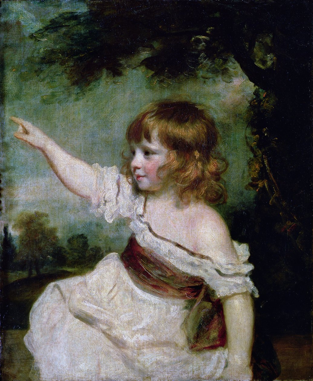 Portrét Francise George Hare, nejstaršího syna Francise Hare Naylora (1753-1815) 1788-9 od Joshua Reynolds