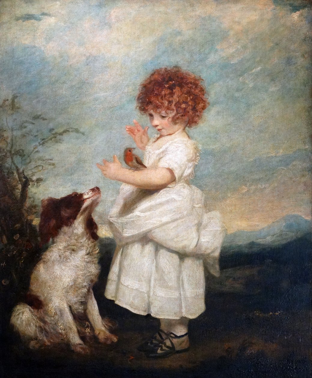 Portrét mistra Philipa Yorka, Sir Joshua Reynolds od Joshua Reynolds