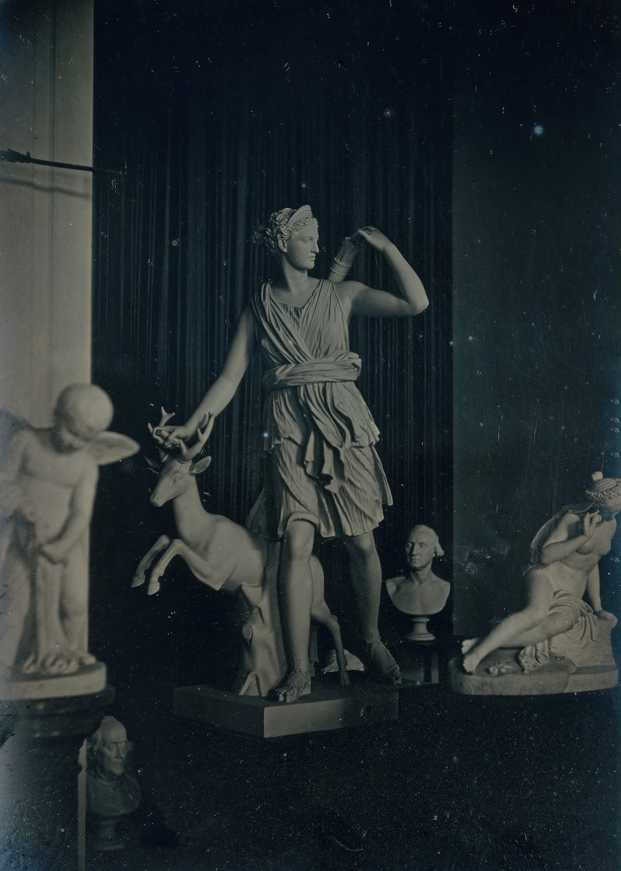 Galerie soch, Boston Athenaeum, ca. 1855. Tvůrci: Josiah Johnson Hawes, Albert Sands Southworth. od Josiah Johnson Hawes, Albert Sands Southworth