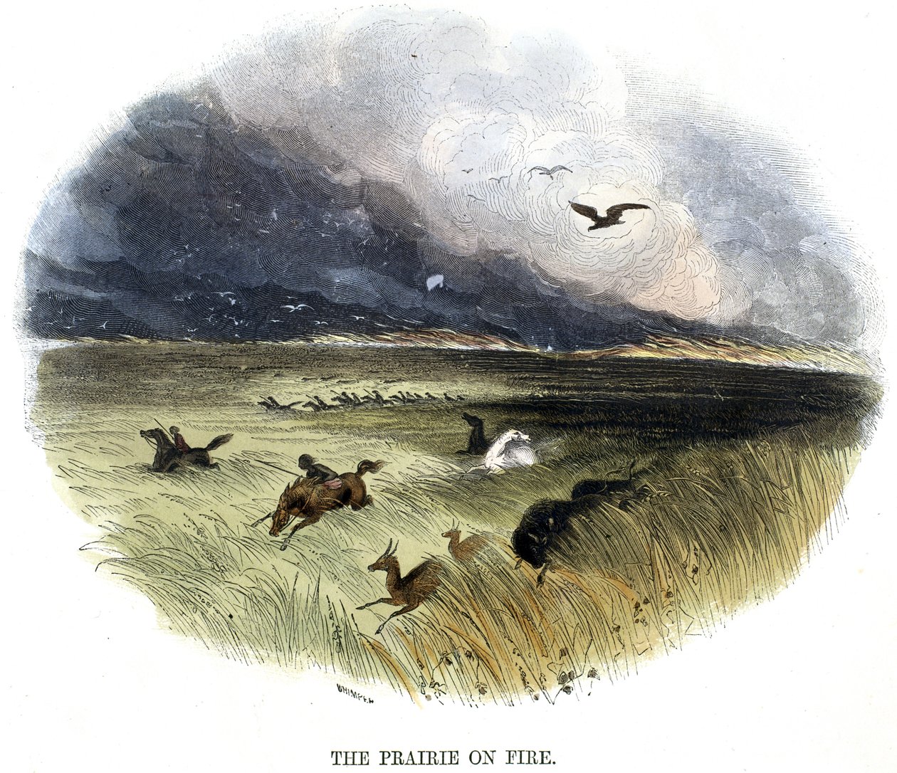 Prairie on Fire, z Fenomény přírody, 1849 od Josiah Wood Whymper