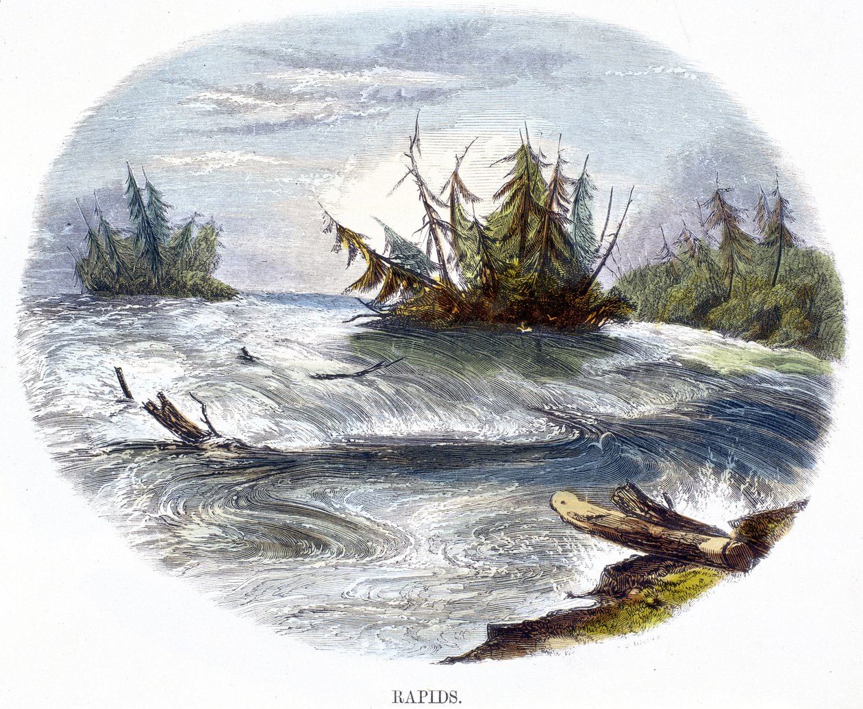 Rapids, z Fenomény přírody, 1849 od Josiah Wood Whymper