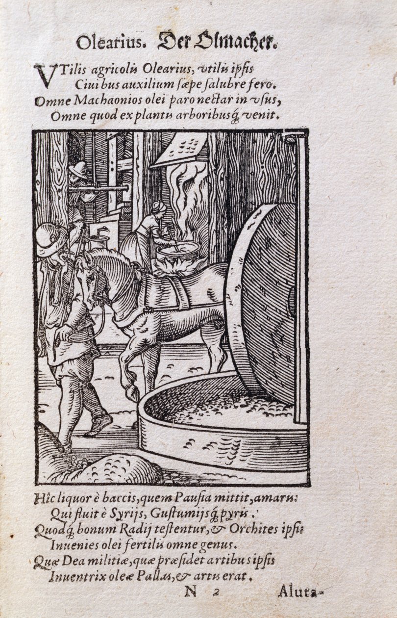Oil Maker, ilustrace z latinského vydání 
