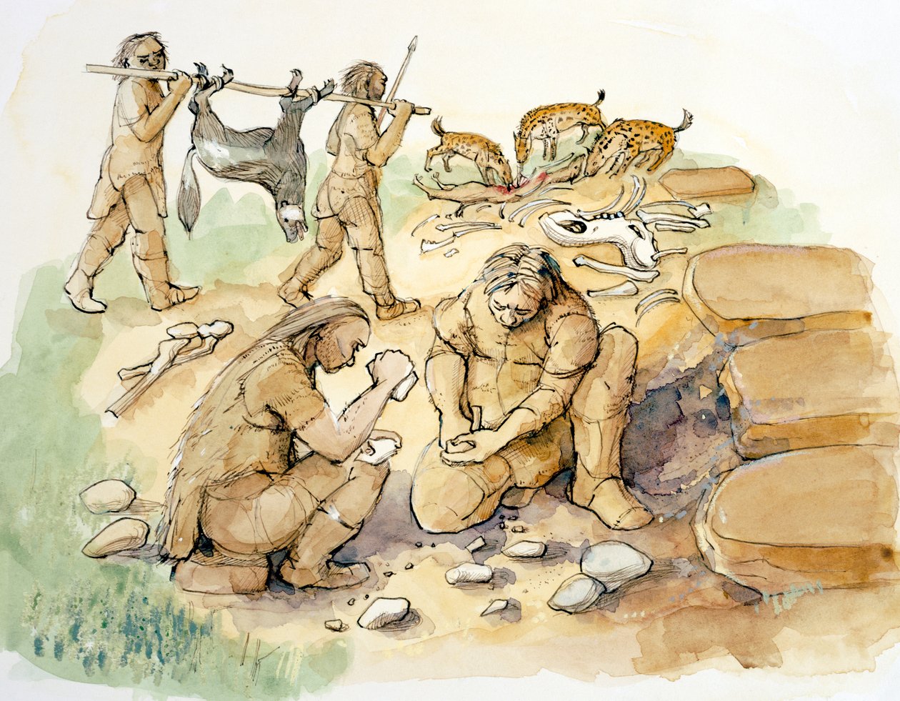 Hominidé a hyeny, svrchní paleolit, c1990-2010 od Judith Dobie