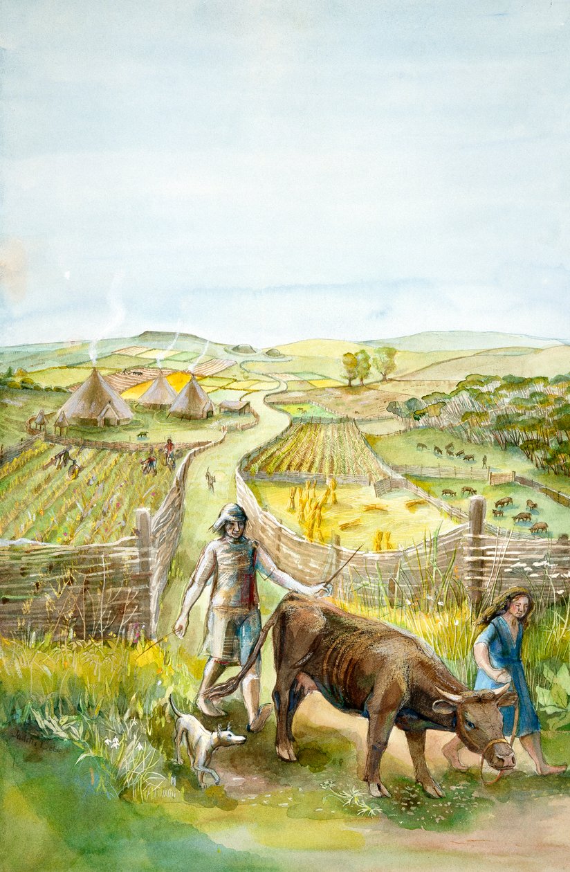 Venkovská krajina, 2000 před naším letopočtem, c1990-2010 od Judith Dobie