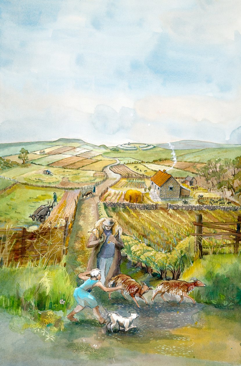 Venkovská krajina, 3. století, c1990-2010 od Judith Dobie