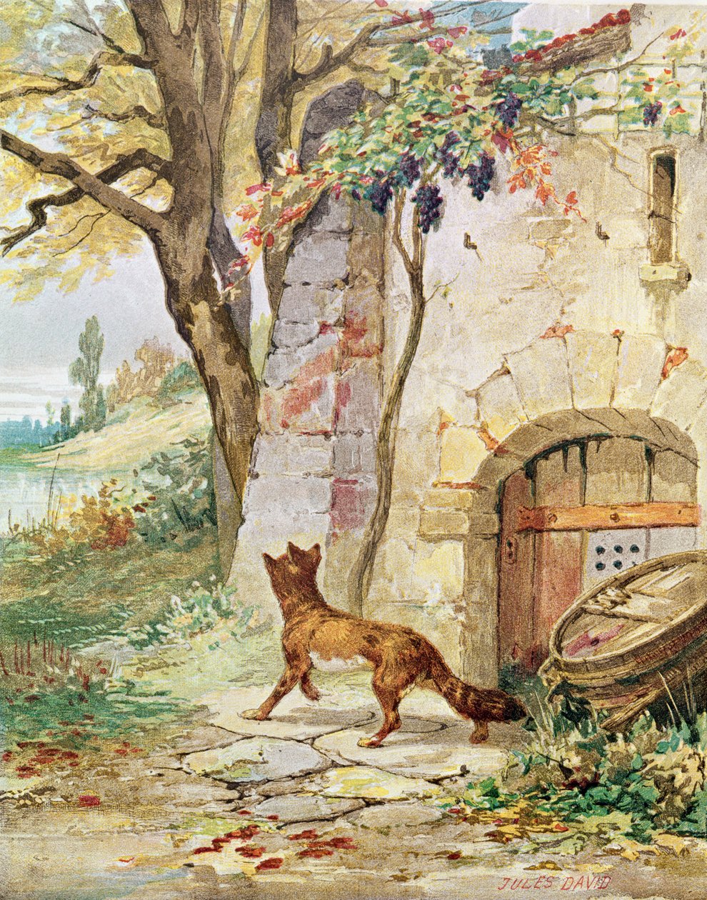 Liška a hrozny, ilustrace k 