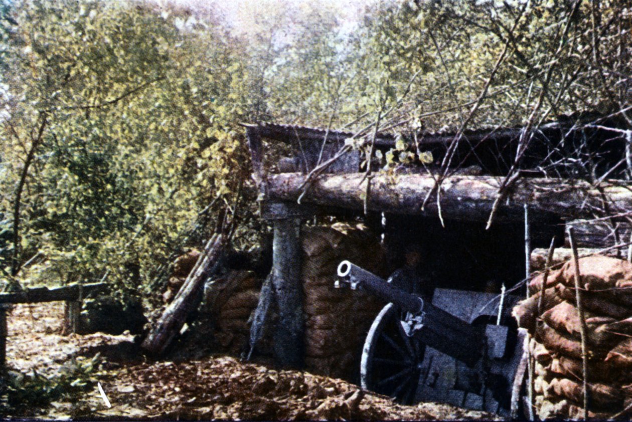 Maskované francouzské 75 mm dělo pod stromy během bitvy u Verdunu, září 1916 (autochrom) od Jules Gervais Courtellemont