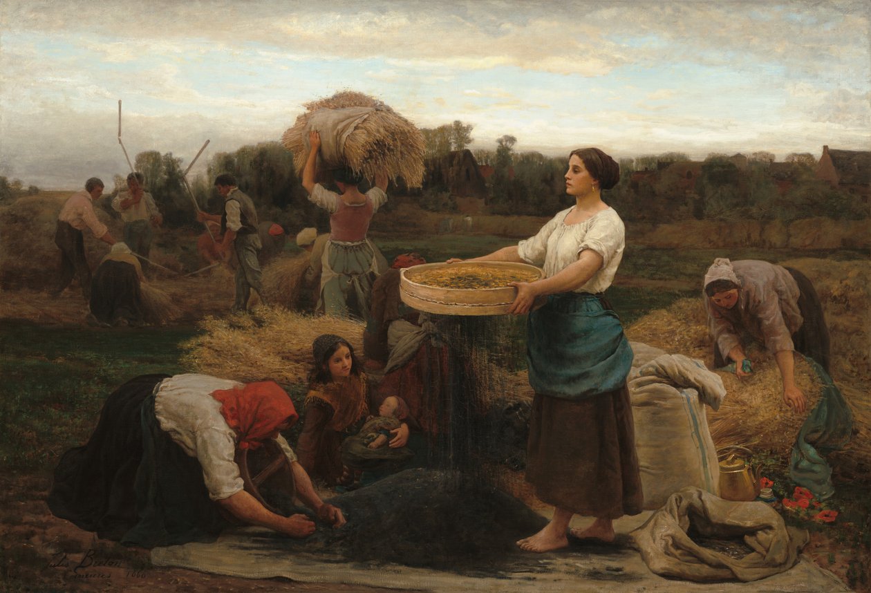 Colza (sklizeň řepky) od Jules Breton