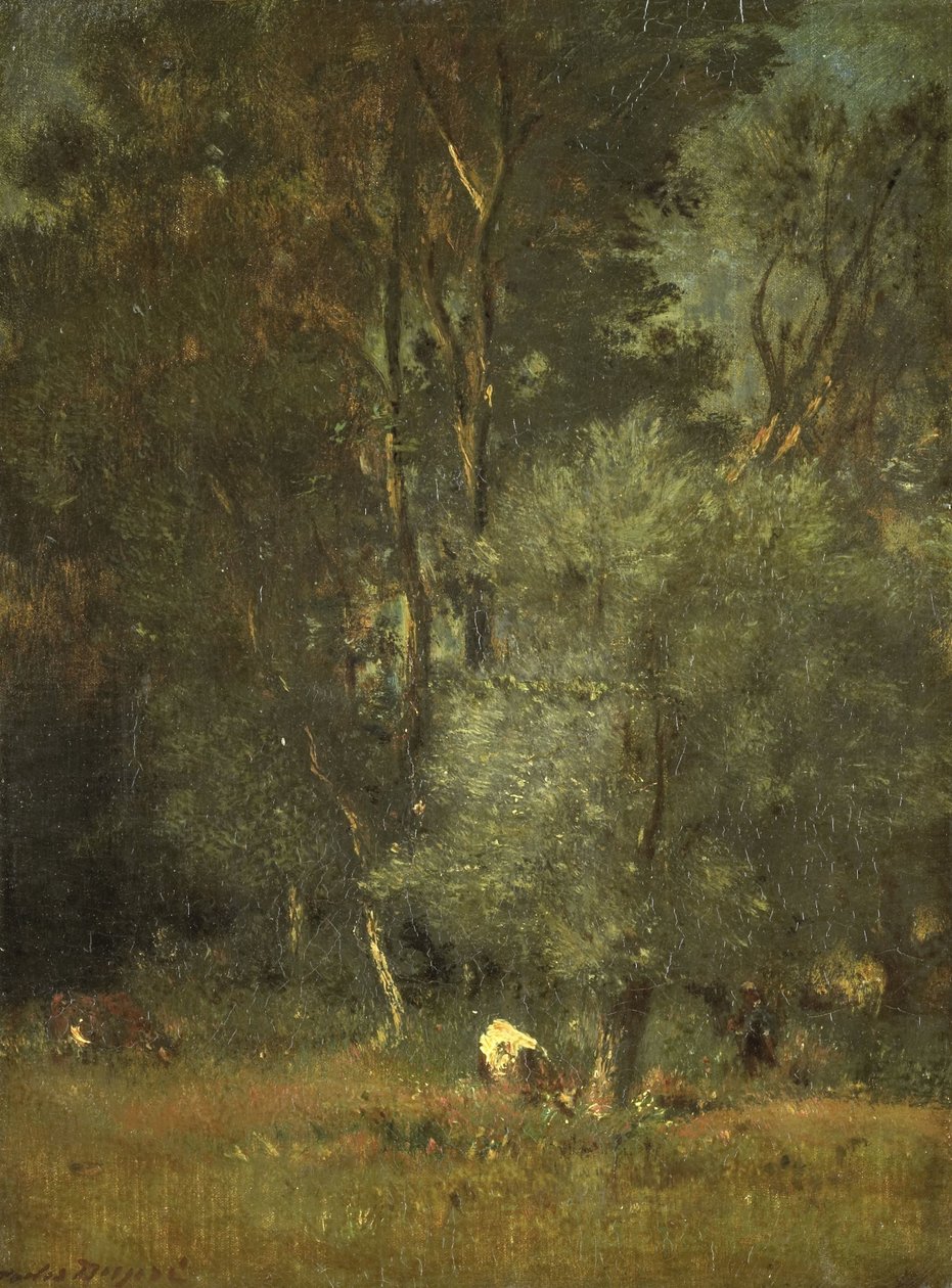Pohled v lese od Jules Dupré