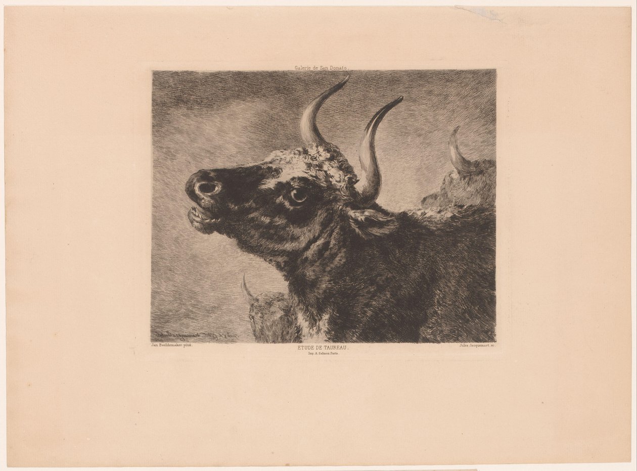 Hlava býka Etude de taureau. (název na objektu) od Jules Ferdinand Jacquemart