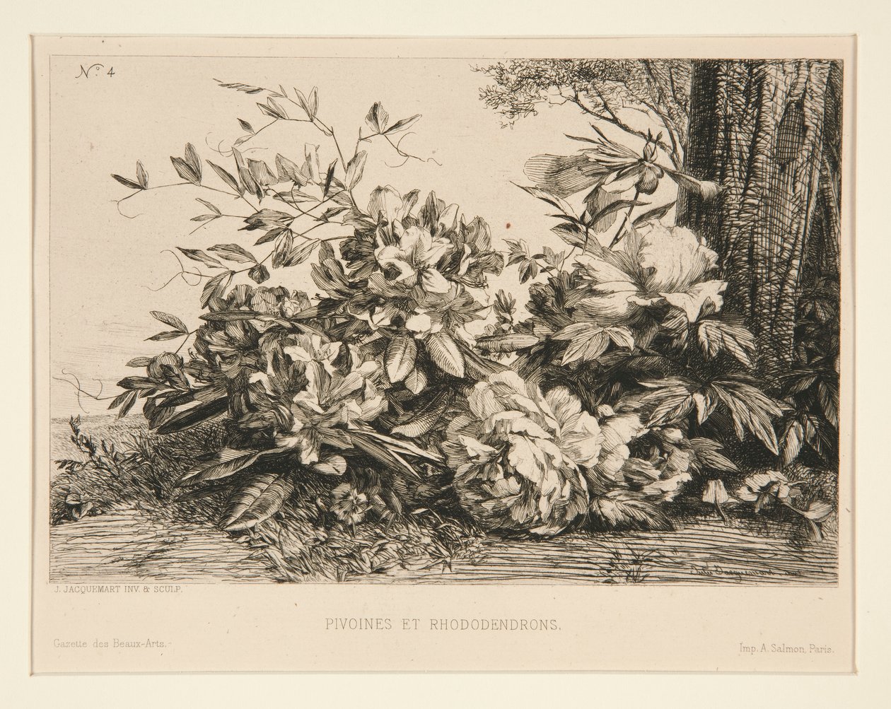 Pivoňky a rododendrony od Jules Ferdinand Jacquemart