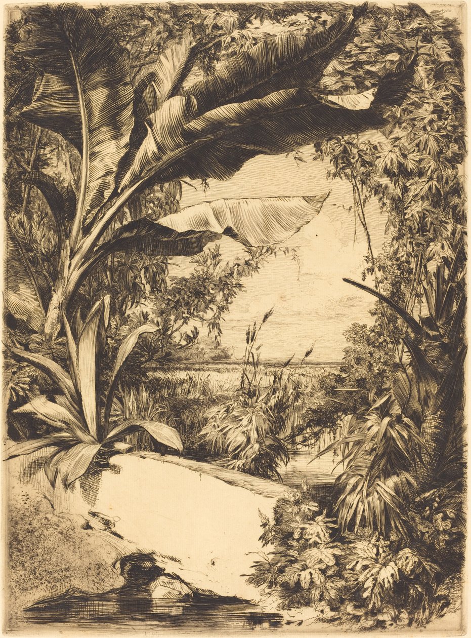 skleníkové rostliny od Jules Ferdinand Jacquemart