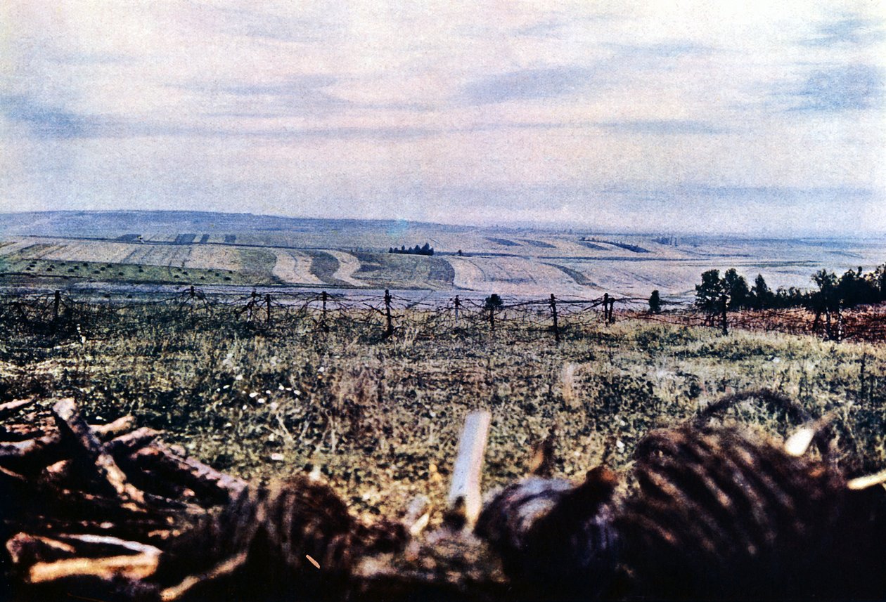 Hill 304 s ostnatým drátem u Verdunu, září 1916 (autochrom) od Jules Gervais Courtellemont
