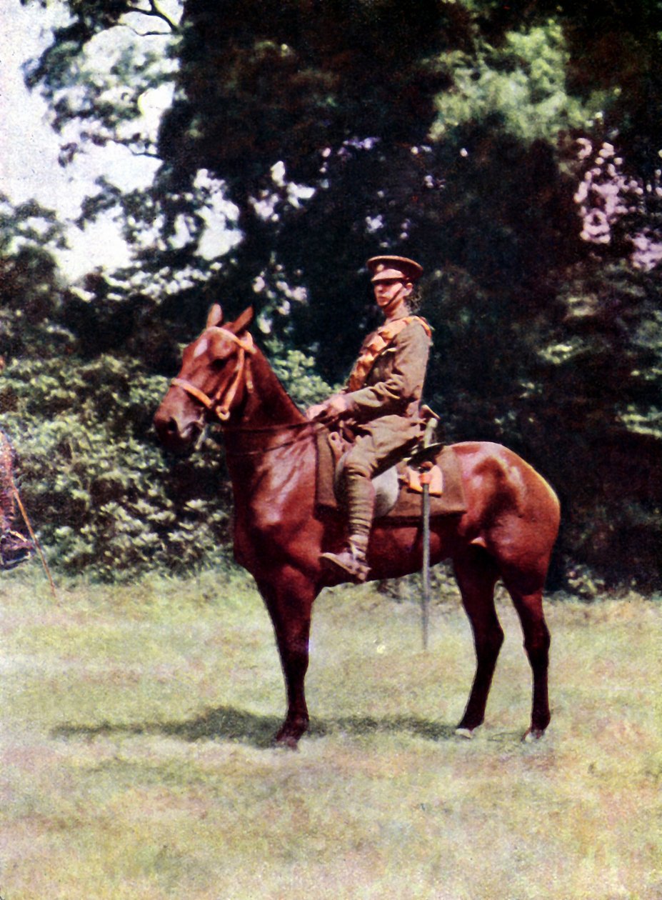 Jezdec britské kavalérie během bitvy na Marně východně od Paříže, září 1914 (autochrom) od Jules Gervais Courtellemont