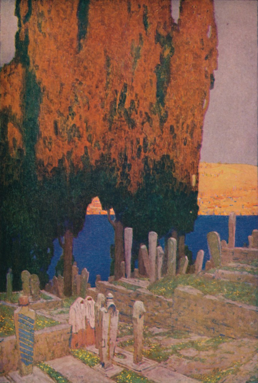 Na hřbitově Eyub, na Zlatém rohu, 1913 od Jules Guerin