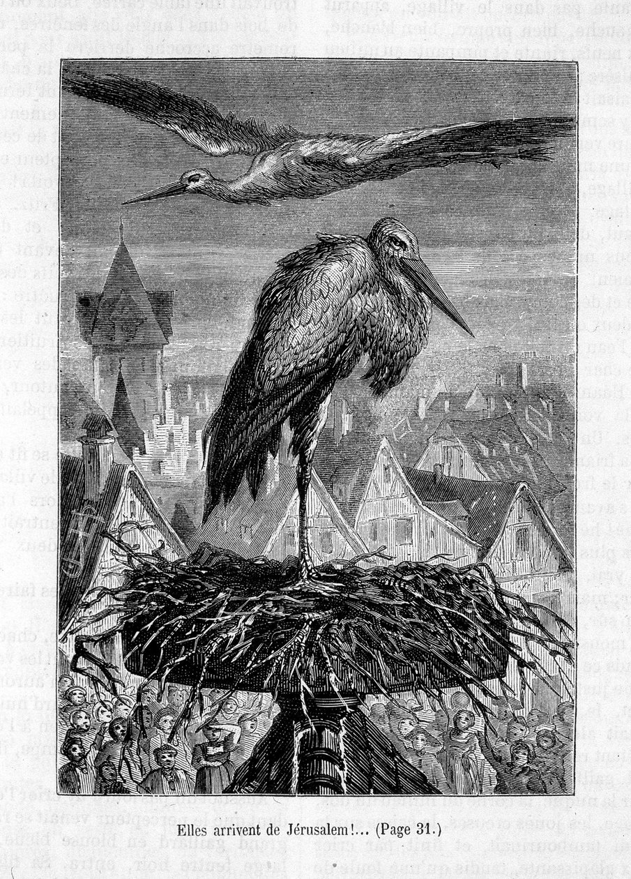 Čápi na střeše – v „Příteli Fritzovi“, od Erckmann-Chatrian, nemocný. od Théophila Schulera od Jules Theophile (after) Schuler
