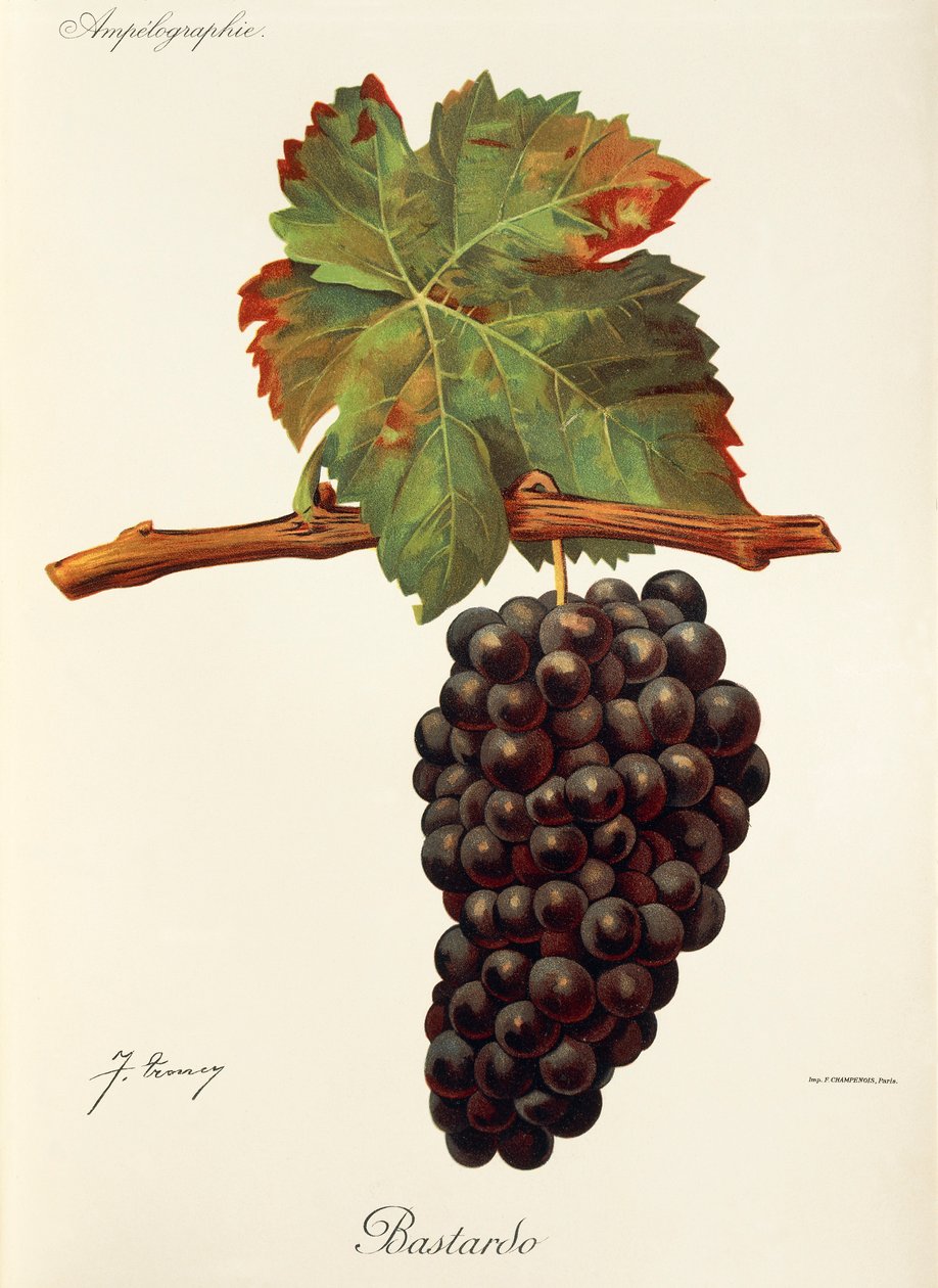Hrozen Bastardo od J. Troncyho od Jules Troncy