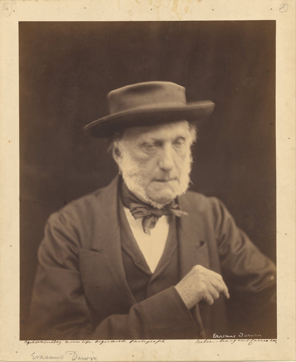 (Erasmus Darwin) od Julia Margaret Cameron