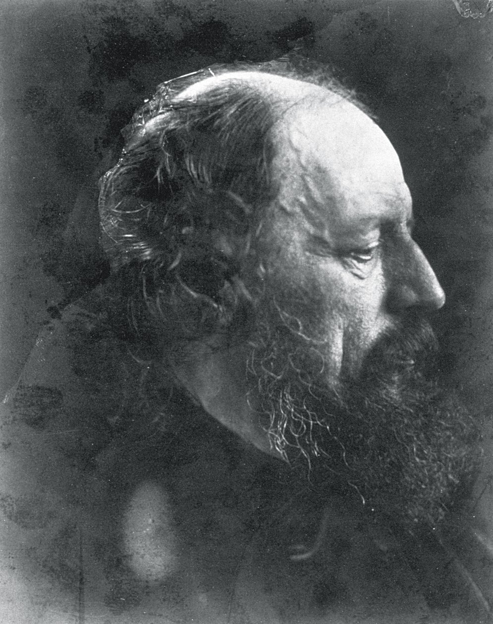 Alfred, Lord Tennyson, asi 1868 (albumenový tisk) od Julia Margaret Cameron