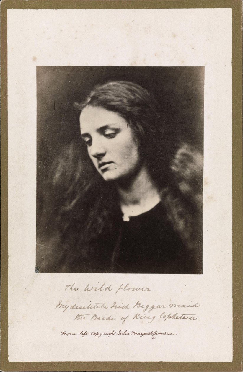 Divoký květ od Julia Margaret Cameron