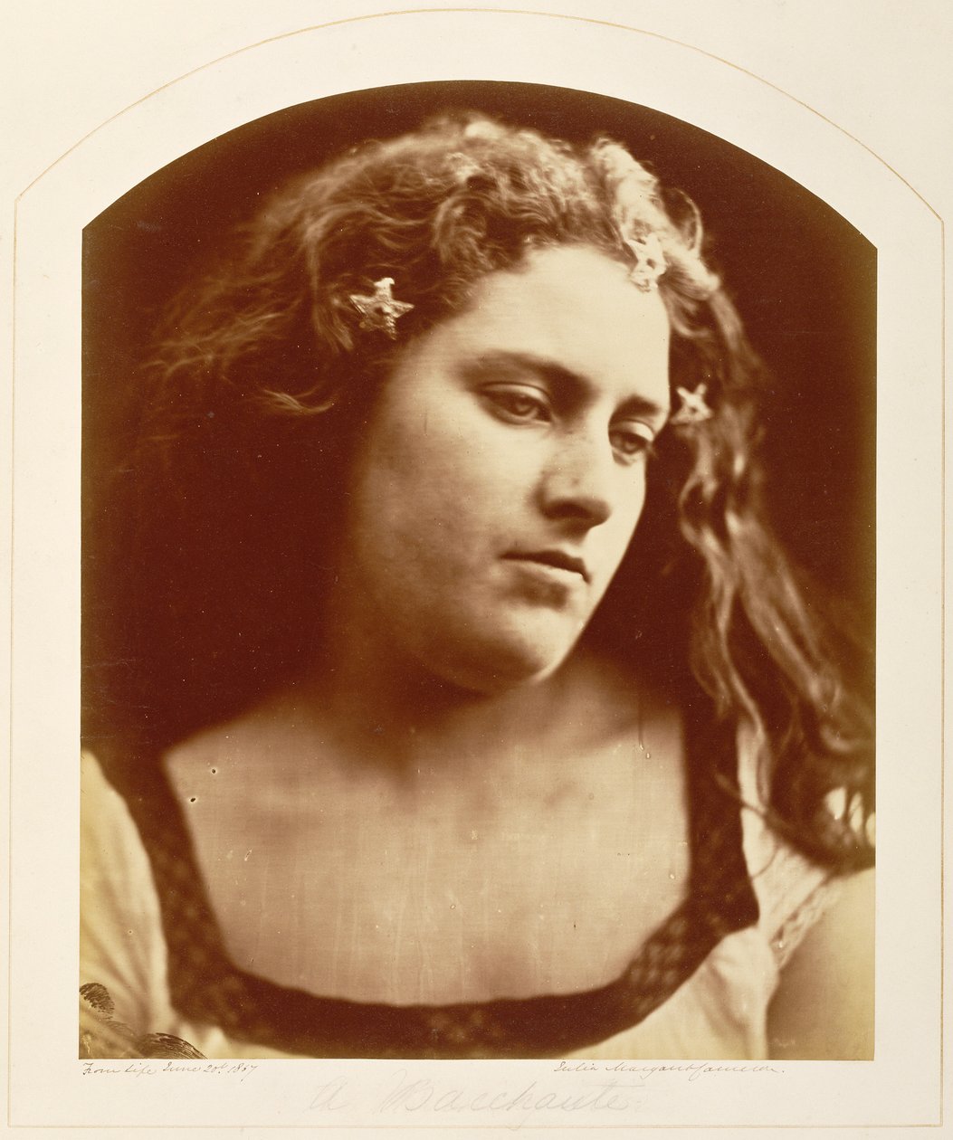 [Bachantka] od Julia Margaret Cameron