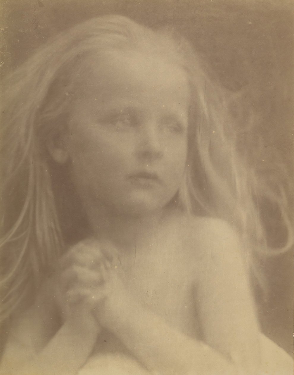 Krásná skica, 1873. od Julia Margaret Cameron