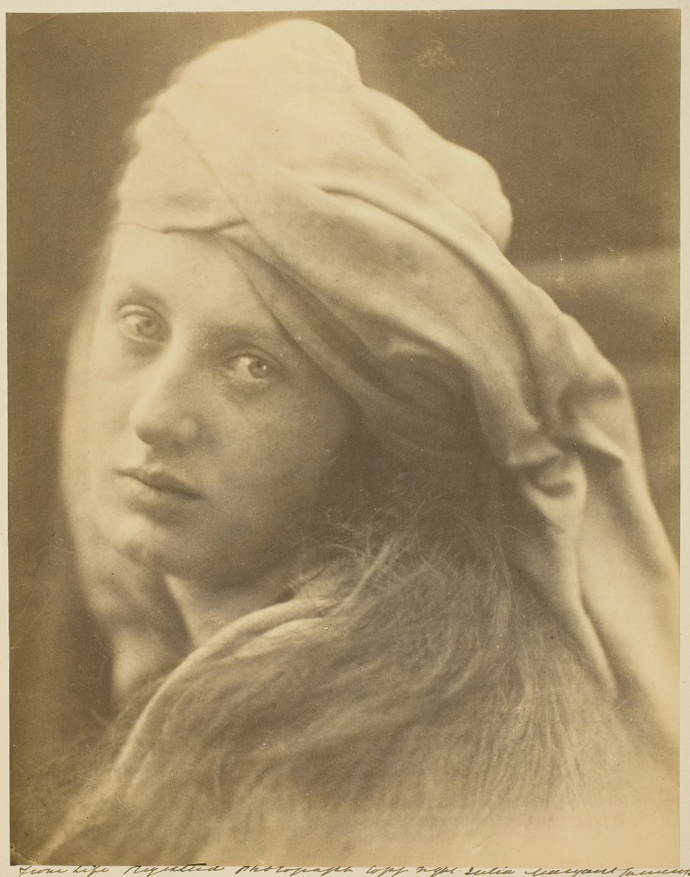 Studie Beatrice Cenci, září 1870. od Julia Margaret Cameron