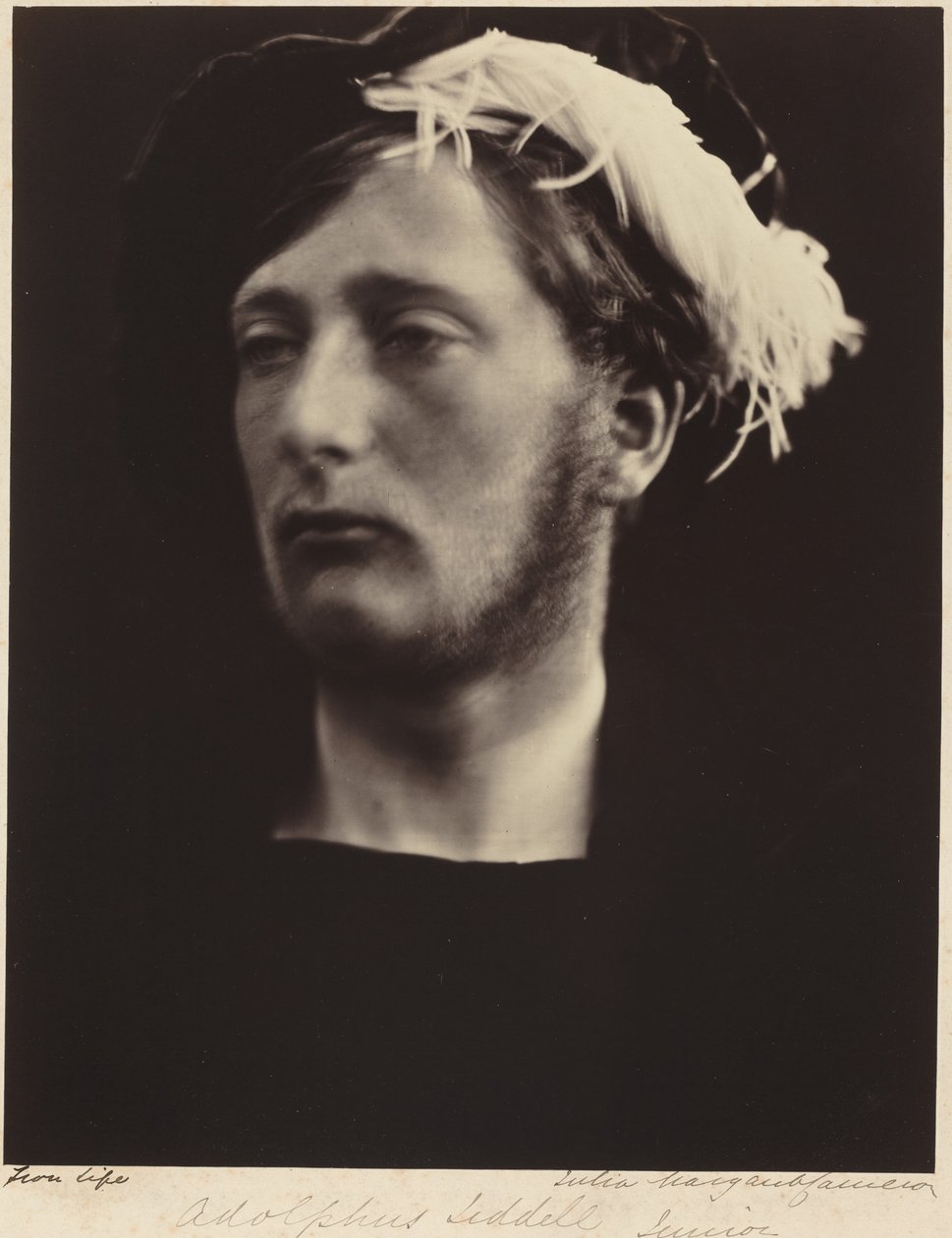 Adolphus Liddell, junior od Julia Margaret Cameron