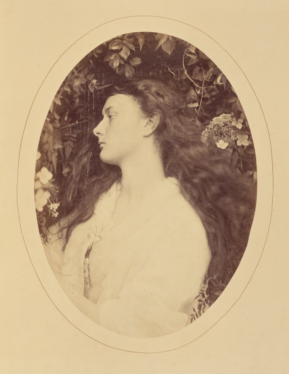 [Alethea] od Julia Margaret Cameron