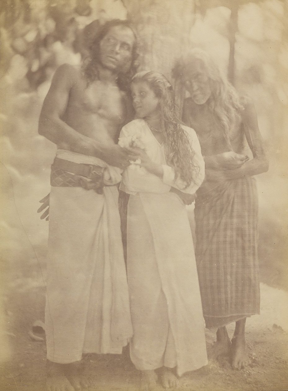 [Cejlonská skupina u stromu], 1878. od Julia Margaret Cameron