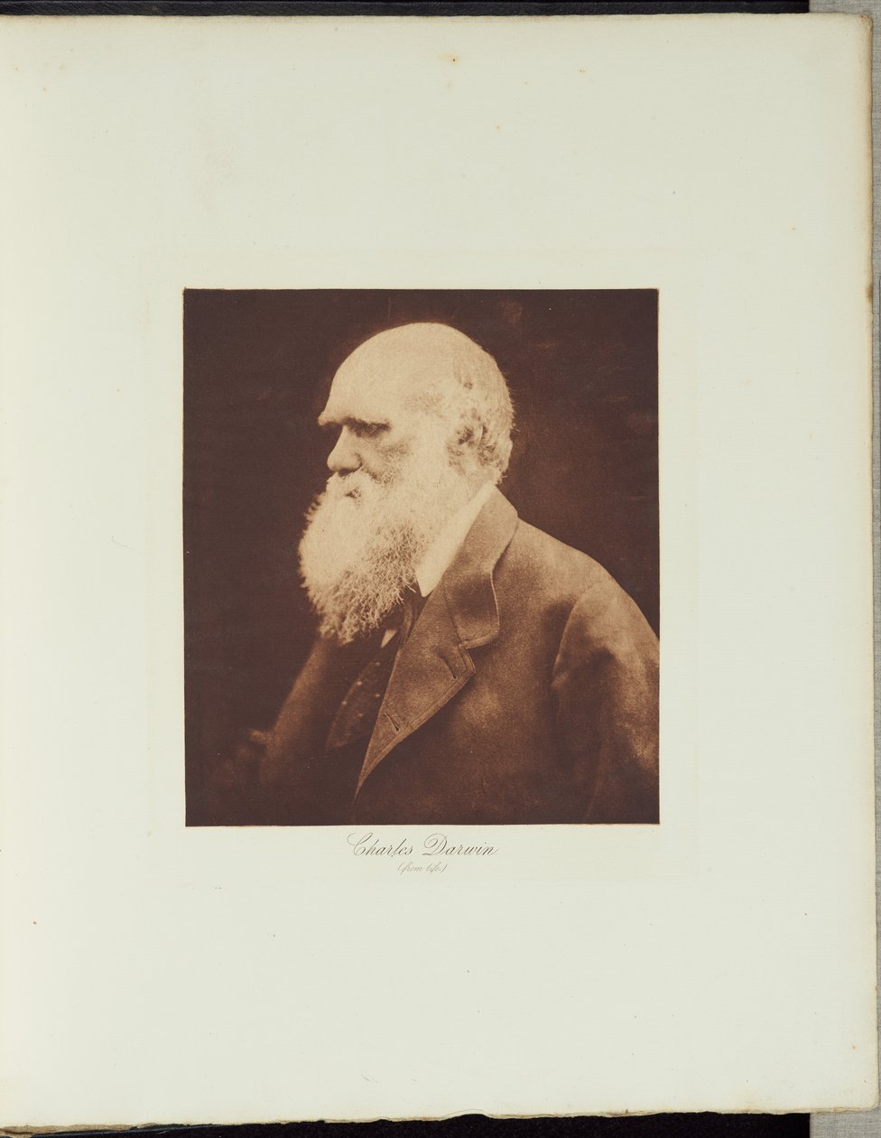 Charles Darwin od Julia Margaret Cameron