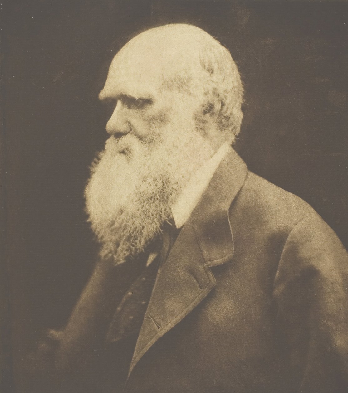 Charles Darwin, 1868, vytištěno cca. 1893. od Julia Margaret Cameron